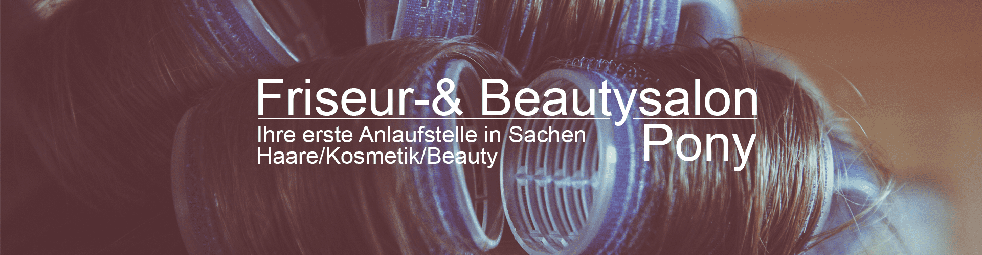 Salon Pony Header